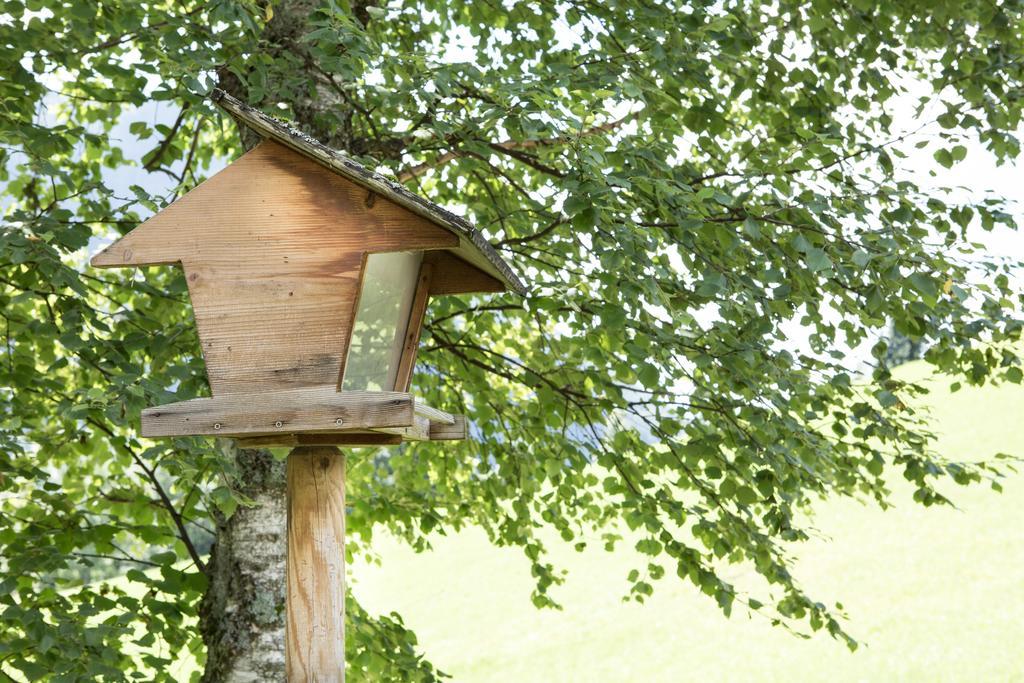 Ferienhaus Sara Bad Kleinkirchheim Buitenkant foto